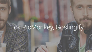 PicMonkey New Product