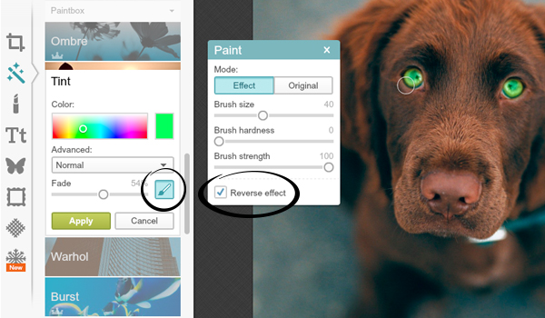 screen shot showing the Paint palette open within the Tint effect